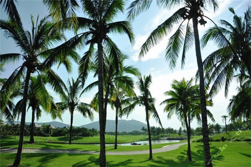 舒芙蕾法式甜点