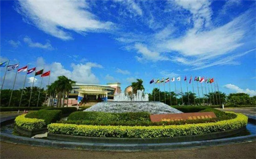 厨小厨瓦香鸡米饭