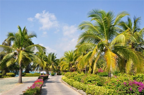 吉诺车屋汽车美容