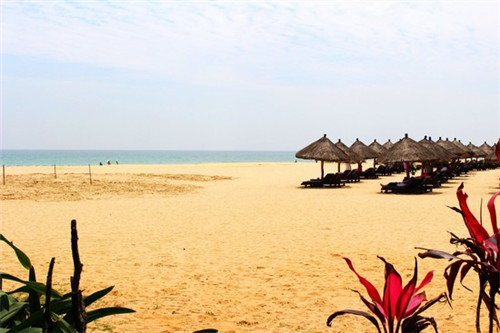 雾社茶町时尚清饮