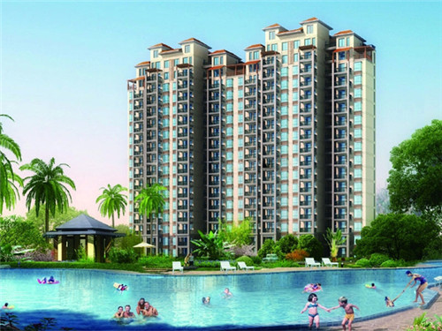 喵想吃金汤酸菜鱼