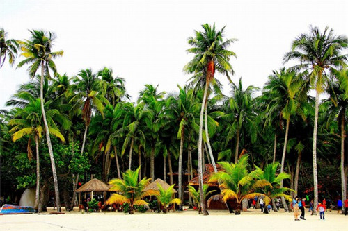 牛小嗨新式融合快餐