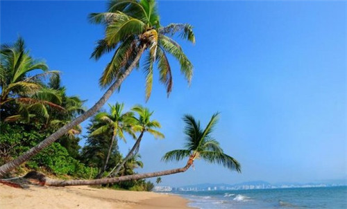 豪辣重庆麻辣火锅加盟费用多少钱才够