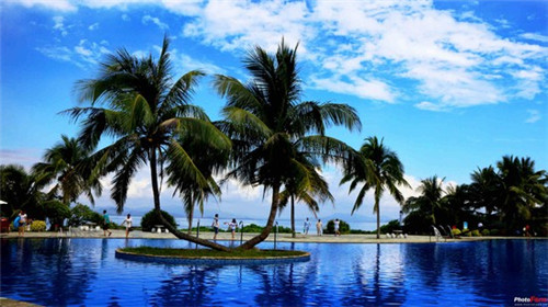 成都仁寿初中租房子多少钱（成都学区房租金多少钱）